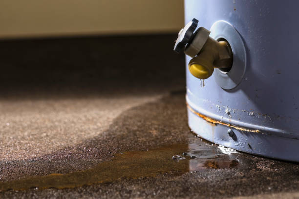 Water damage restoration mold remediation in Rossmoor, CA