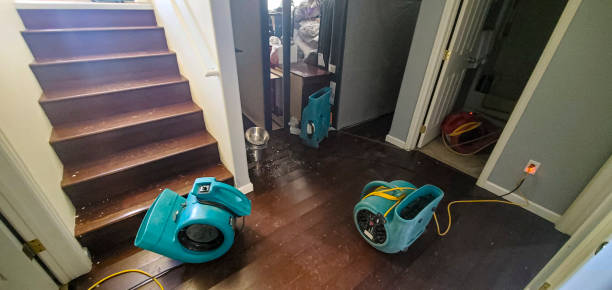 Best Flood restoration services  in Rossmoor, CA