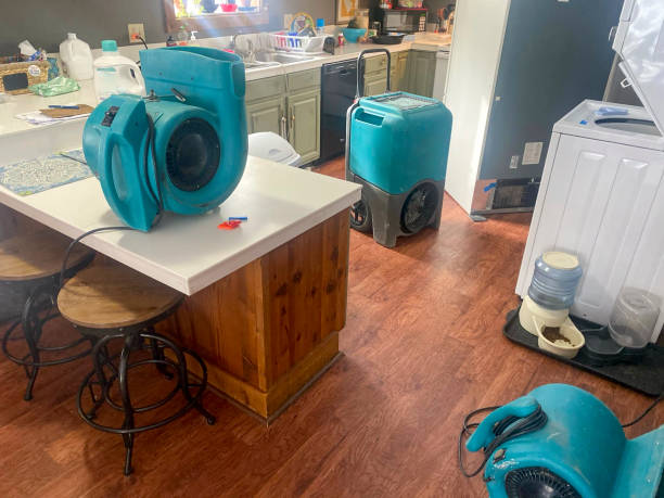 Best Flood damage cleanup  in Rossmoor, CA