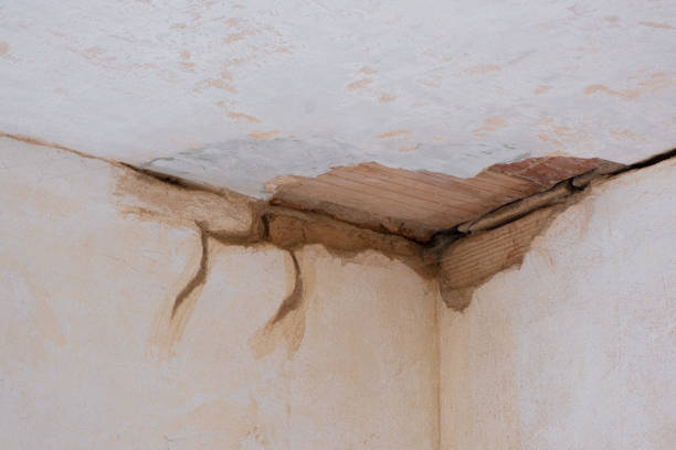 Best Water damage contractors near me  in Rossmoor, CA