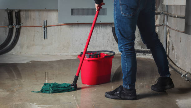 Best Flooded house restoration  in Rossmoor, CA
