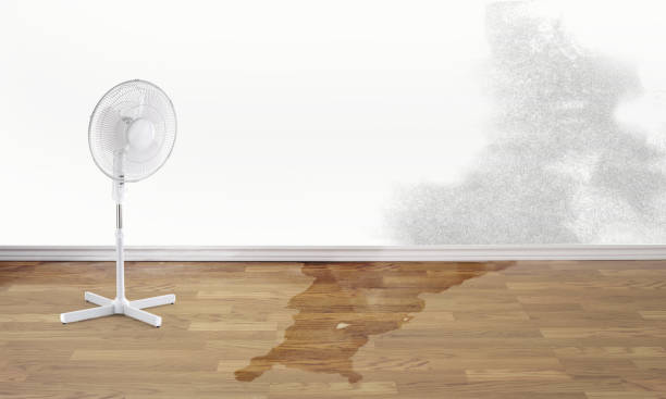 Best Water damage restoration services  in Rossmoor, CA
