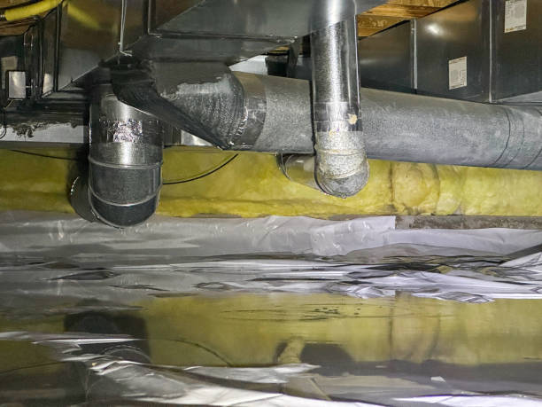 Best Mold removal after water damage  in Rossmoor, CA