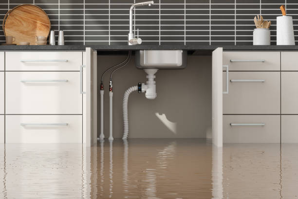 Best Residential water damage restoration  in Rossmoor, CA