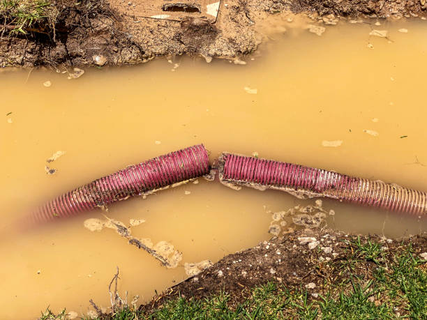 Best 24-hour water damage restoration  in Rossmoor, CA