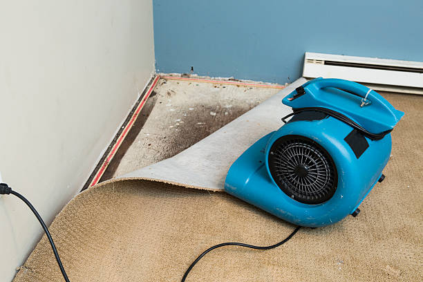 Trusted Rossmoor, CA Water damage restoration Experts